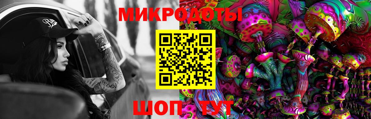 Сибай  Псилоцибиновые грибы Psilocybine cubensis  Вход с VPN 