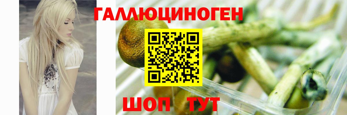 Псилоцибиновые грибы ЛСД Сибай